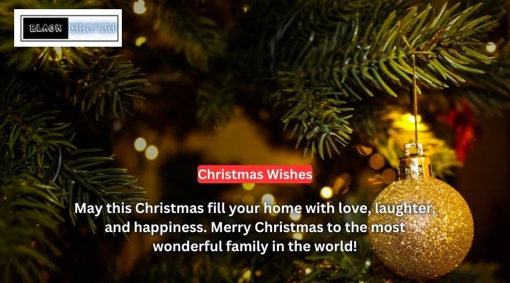 Christmas Wishes Quotes for Family