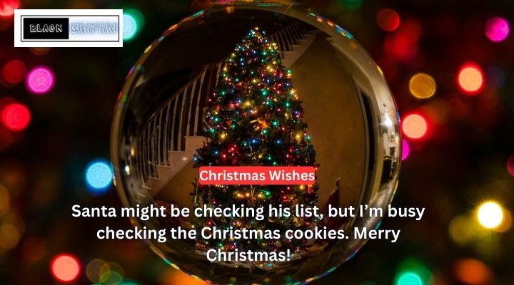 Funny Christmas Wishes Quotes